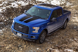 Ford F-150 2015-2018 hood graphics stripe decal Ford Performance