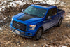 Ford F-150 2015-2018 hood logo graphics stripe decal Ford Performance