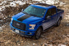 Ford F-150 2015-2018 Center hood F Rally graphics stripe decal Ford Performance